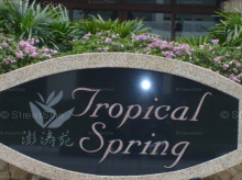 Tropical Spring #978802